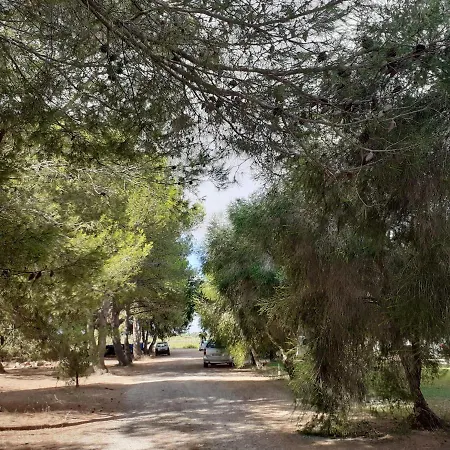 Farm stay Bellu Riola Sardo